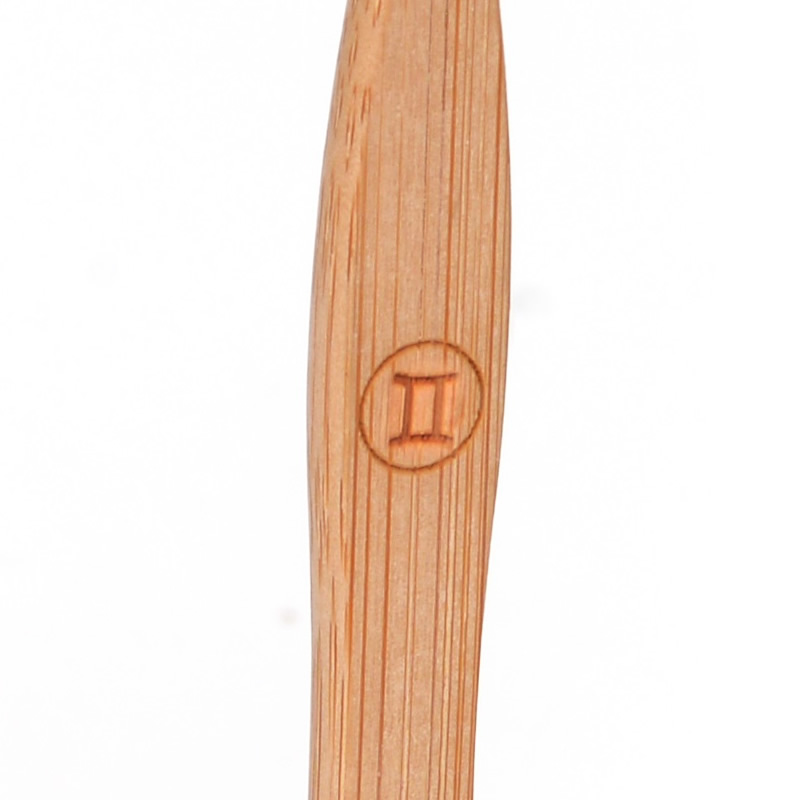 Brush Gemini star sign