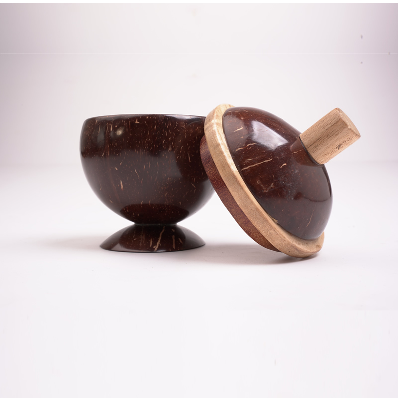 Coconut shell cup & lid